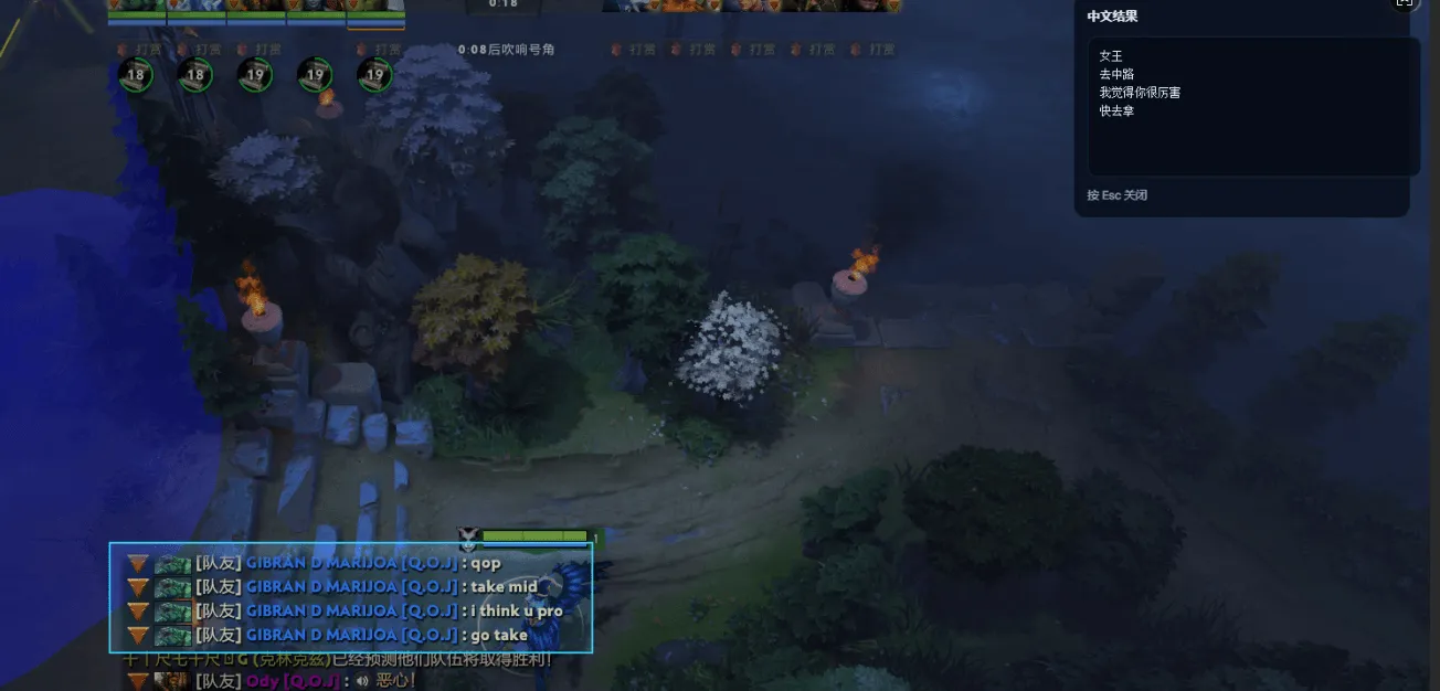 DotaChat 框选 Dota 2 聊天区域,并在右上角显示中文译文